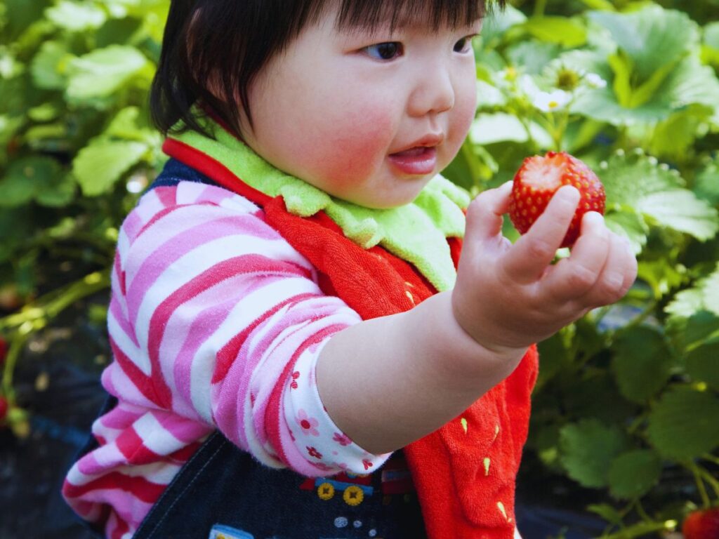 8 Cultural Kid-Friendly Activities in Japan Your Family Will Remember