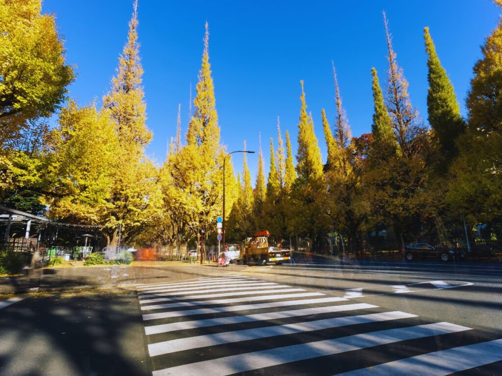 A Classic Tokyo Autumn Walk (From Gaien’s Ginkgos to Yoyogi Park)