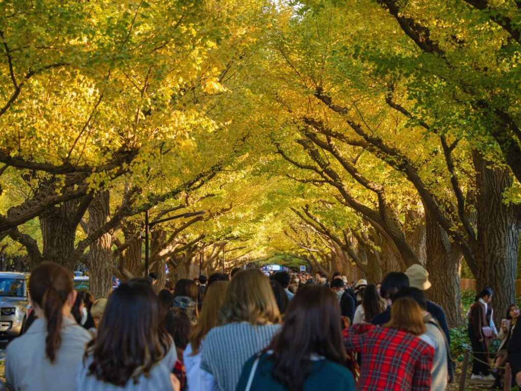 A Classic Tokyo Autumn Walk (From Gaien’s Ginkgos to Yoyogi Park)