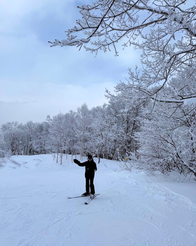 Skier waving on a quiet run lined with snow-frosted trees at Hakuba Kashimayari, a ski resort near Tokyo