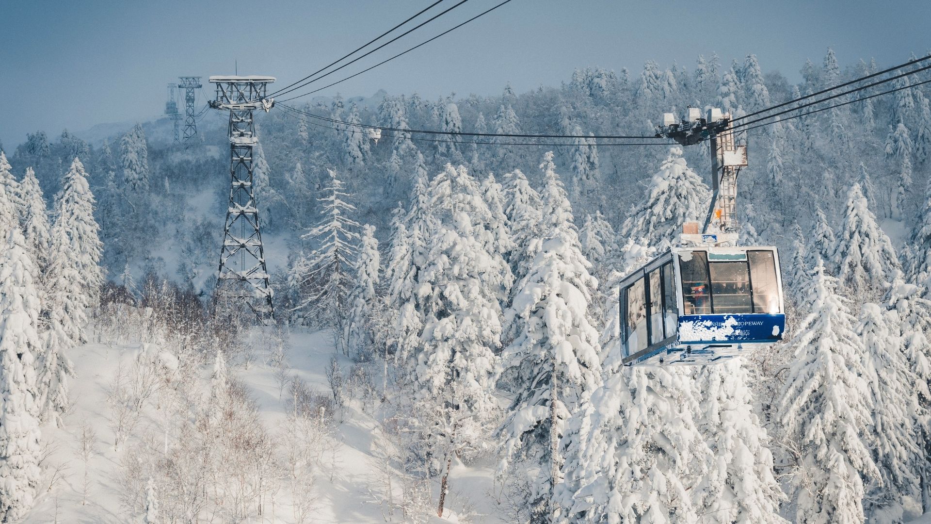 mountain ski resort sapporo japan flip japan guide Ropeway cabin above snow-covered fir trees near Sapporo on Mount Asahidake, a Hokkaido ski mountain in winter
